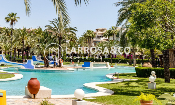 A Vendre - Apartment - Torrevieja - Los Locos Beach