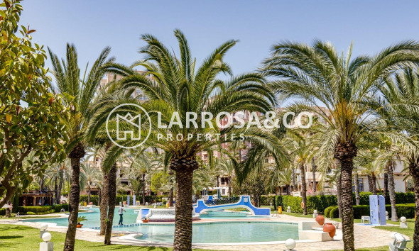 A Vendre - Apartment - Torrevieja - Los Locos Beach