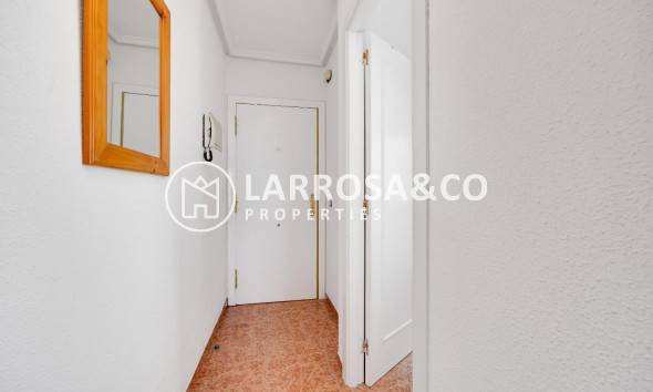 A Vendre - Penthouse  - Torrevieja - Centro