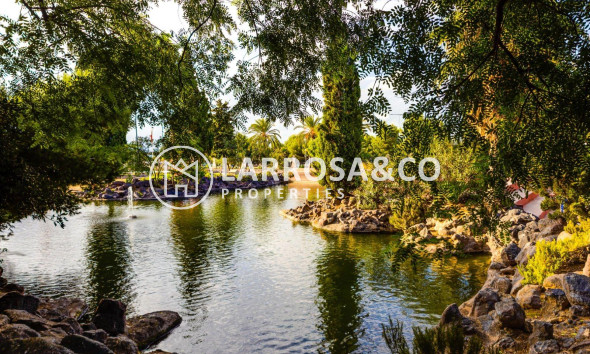 A Vendre - Penthouse  - Torrevieja - Centro