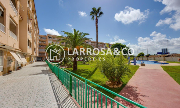 A Vendre - Penthouse  - Torrevieja - Centro