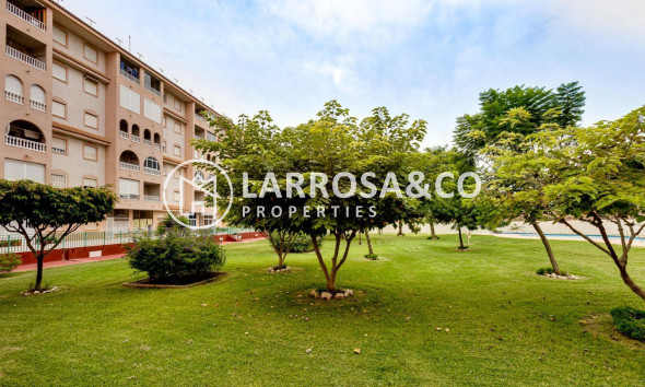 A Vendre - Penthouse  - Torrevieja - Centro