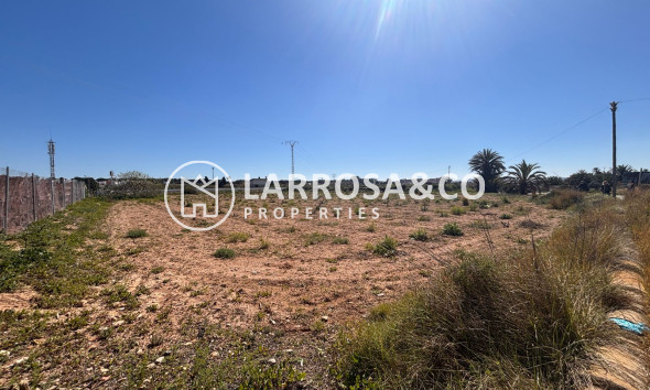 Resale - Land/Plots - Guardamar del Segura - El Campo