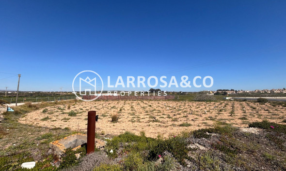 Resale - Land/Plots - Guardamar del Segura - El Campo