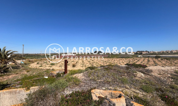 Resale - Land/Plots - Guardamar del Segura - El Campo