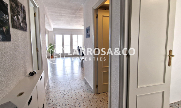 Reventa - Apartamento - Torrevieja - Costa Blanca