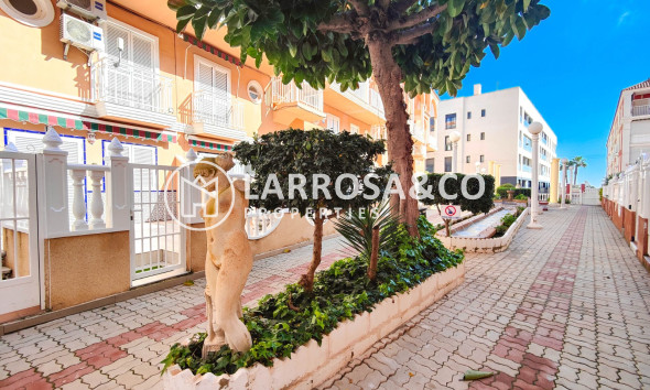 Herverkoop - Penthouse  - Torrevieja - Costa Blanca
