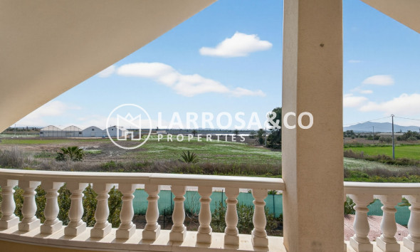 Вторичный рынок - Finca - Crevillente