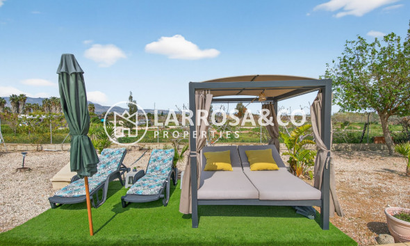 Вторичный рынок - Finca - Crevillente