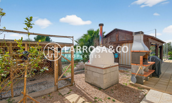 Вторичный рынок - Finca - Crevillente