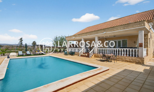 Вторичный рынок - Finca - Crevillente