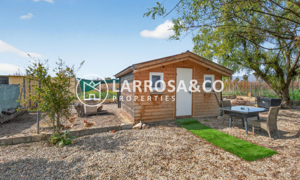 Вторичный рынок - Finca - Crevillente