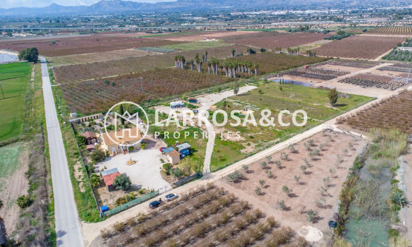 Вторичный рынок - Finca - Crevillente