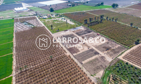 Вторичный рынок - Finca - Crevillente