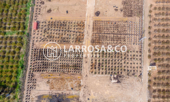 Вторичный рынок - Finca - Crevillente