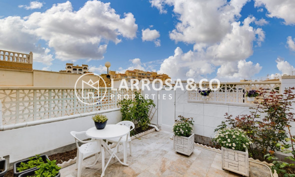 Herverkoop - Semi-detached house - Torrevieja - Costa Blanca