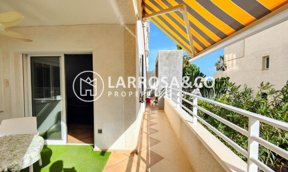 Herverkoop - Apartment - Torrevieja - Costa Blanca