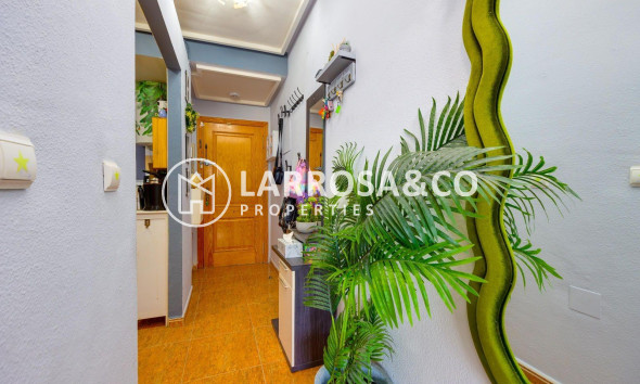 Herverkoop - Apartment - Torrevieja - Centro