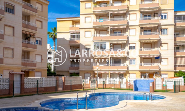 Herverkoop - Apartment - Torrevieja - Costa Blanca
