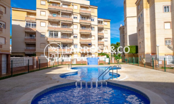 Herverkoop - Apartment - Torrevieja - Costa Blanca