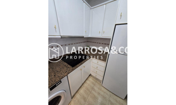 Reventa - Apartamento - Torrevieja - Torreblanca