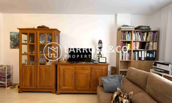 Reventa - Apartamento - San Miguel de Salinas - Inland