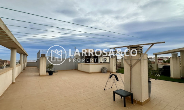 Reventa - Apartamento - San Miguel de Salinas - Inland
