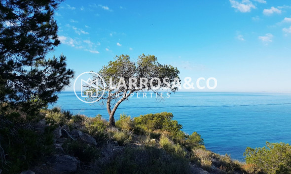 New build - Apartment - Villajoyosa - Playa Les Torres