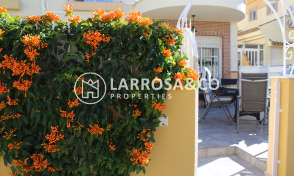 Вторичный рынок - Дом - Villamartín - Costa Blanca