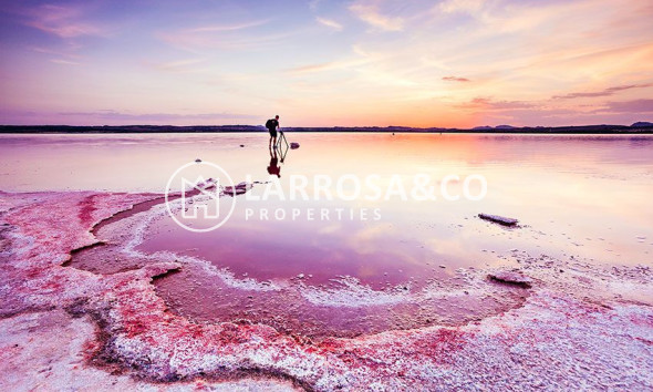 Reventa - Atico - Villamartín - Costa Blanca
