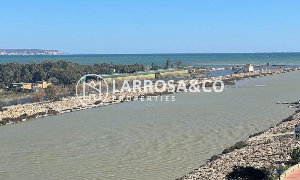 Reventa - Atico - Guardamar del Segura - puerto deportivo