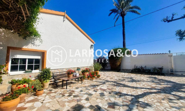 Resale - Finca - La Marina - Costa Blanca