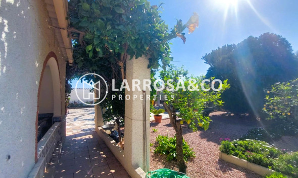 Resale - Finca - La Marina - Costa Blanca