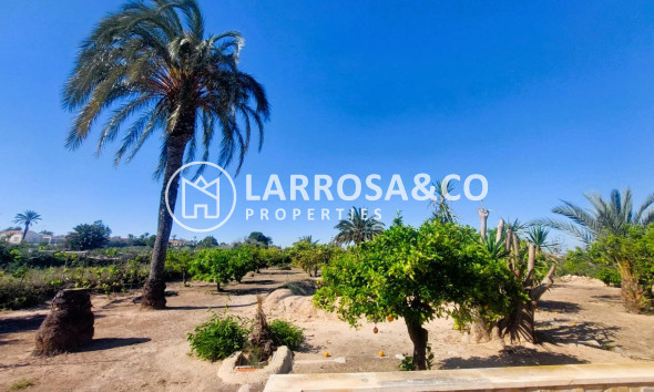 Resale - Finca - La Marina - Costa Blanca