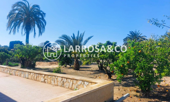 Resale - Finca - La Marina - Costa Blanca