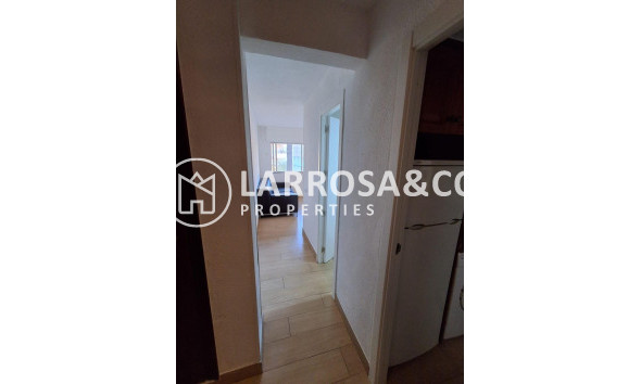 A Vendre - Apartment - Guardamar del Segura - Guardamar Playa