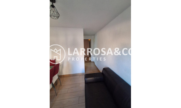 A Vendre - Apartment - Guardamar del Segura - Guardamar Playa