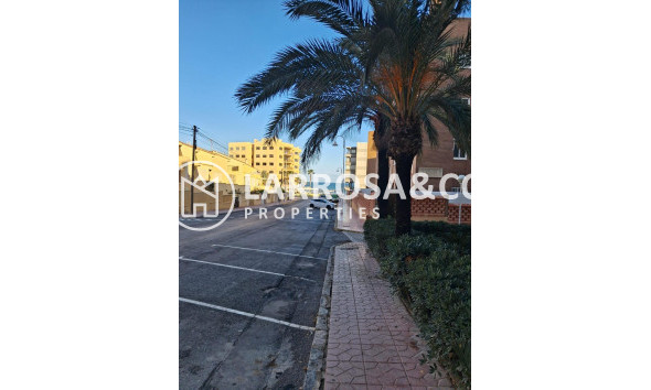 A Vendre - Apartment - Guardamar del Segura - Guardamar Playa