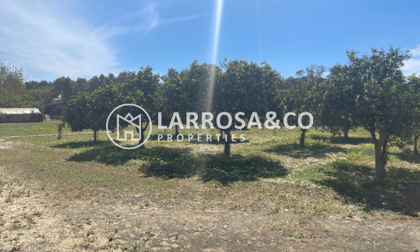 A Vendre - Villa - Guardamar del Segura - Costa Blanca