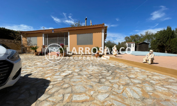 A Vendre - Villa - Guardamar del Segura - Costa Blanca