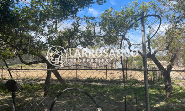 A Vendre - Villa - Guardamar del Segura - Costa Blanca