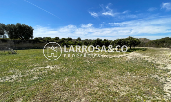 A Vendre - Villa - Guardamar del Segura - Costa Blanca