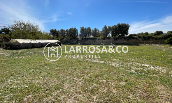 A Vendre - Villa - Guardamar del Segura - Costa Blanca