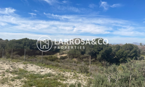 A Vendre - Villa - Guardamar del Segura - Costa Blanca