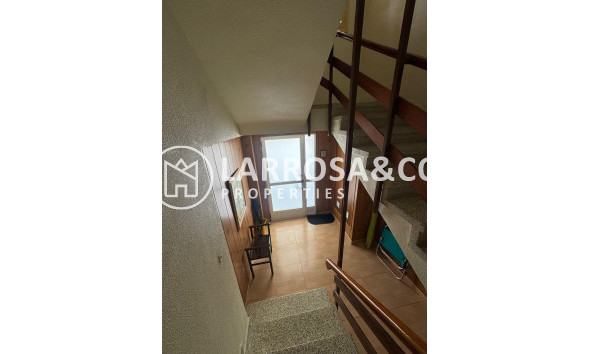 Reventa - Apartamento - Guardamar del Segura