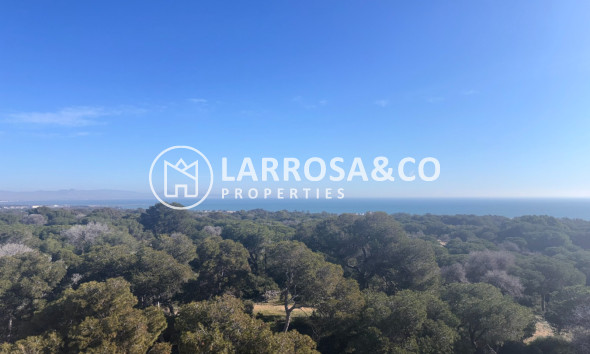 Obra Nueva - Apartamento - Guardamar del Segura