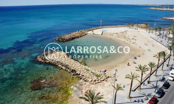 Obra Nueva - Atico - Torrevieja - Playa Los Locos