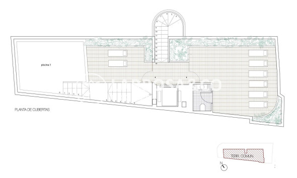 Obra Nueva - Atico - Torrevieja - Playa Los Locos