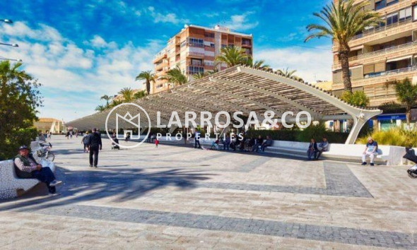 Obra Nueva - Atico - Torrevieja - Playa Los Locos