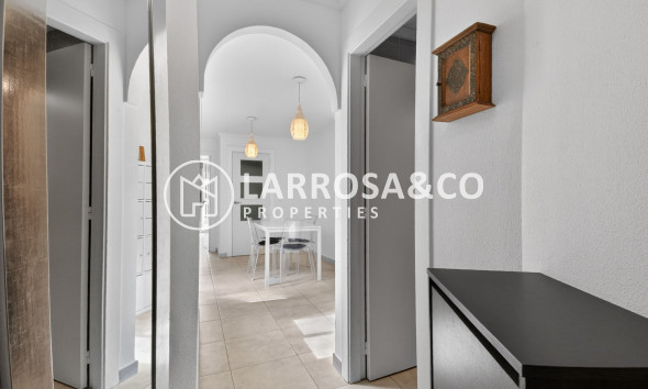 A Vendre - Apartment - Guardamar del Segura - Centro